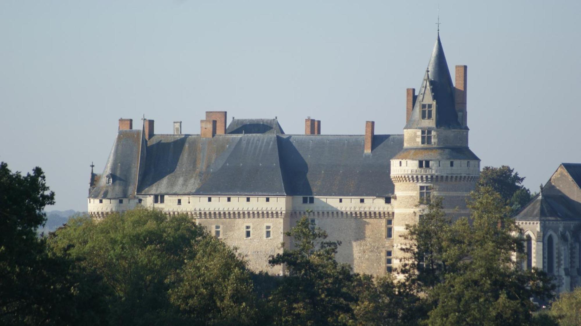 Bed and Breakfast Chateau De Durtal Экстерьер фото